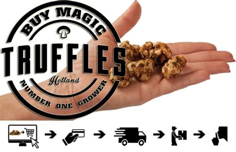 From Nature to Your Doorstep: How Magic Truffles are Delivered when Bought Online